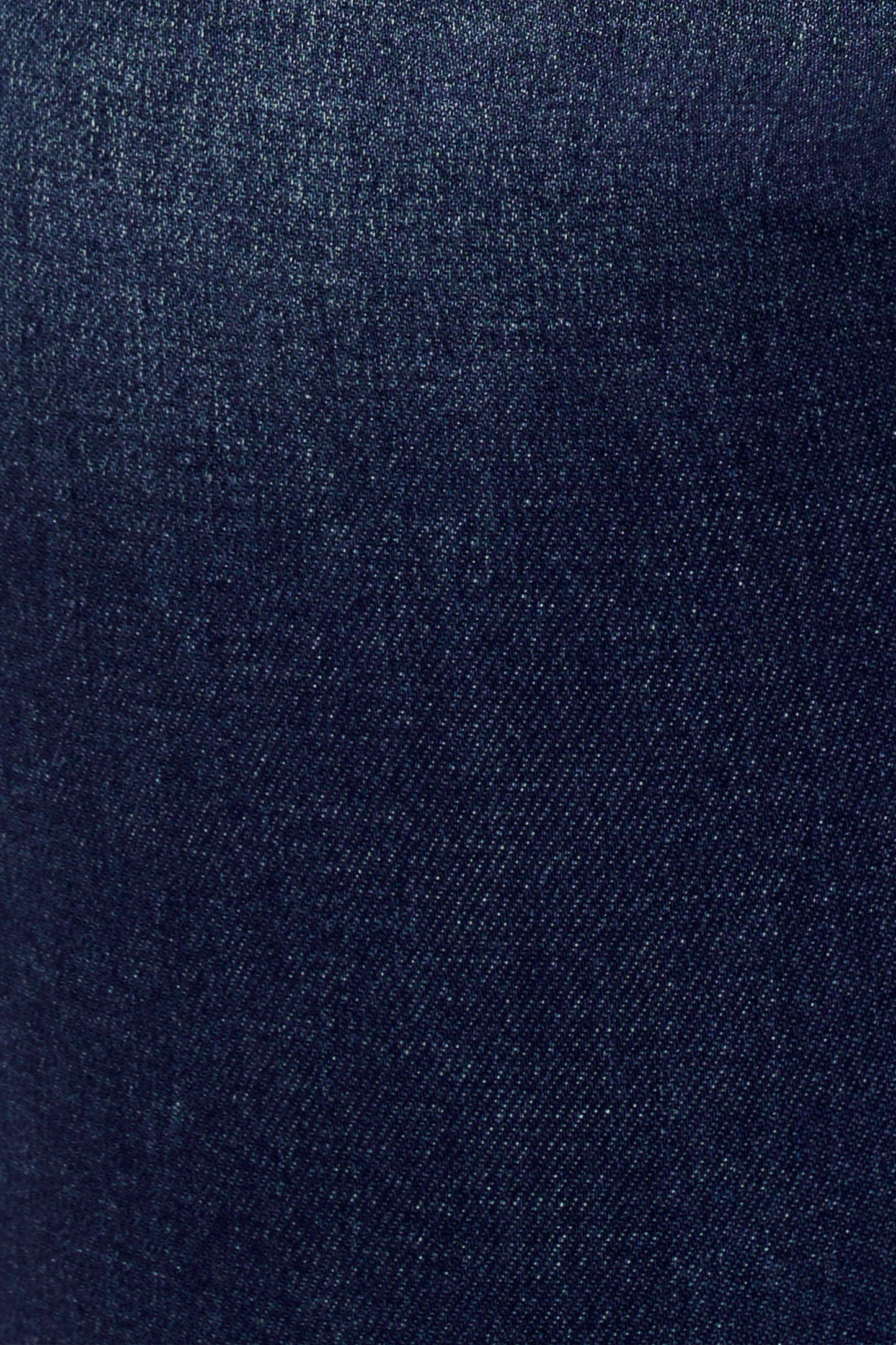 PLUS HIGH RISE SKINNY