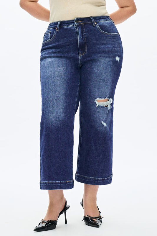 PLUS MID RISE WIDE LEG FLARE