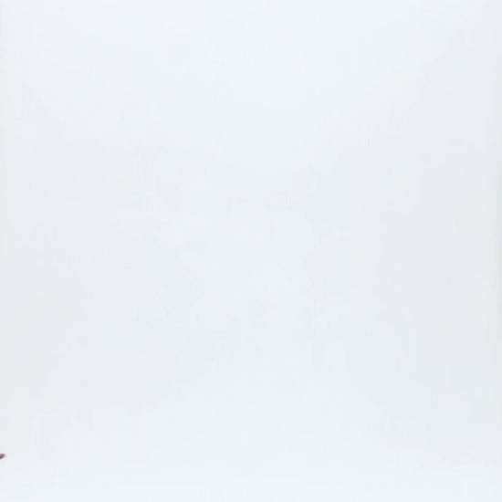 FLORA HIGH RISE WIDE LEG Fashion Product Video
