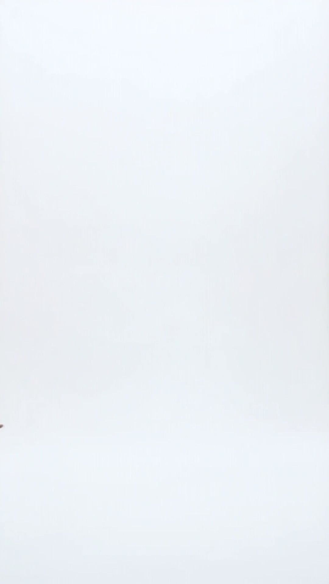 FLORA HIGH RISE WIDE LEG Fashion Product Video