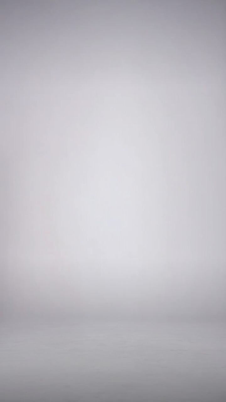 NEW YORK BYW8304 Fashion Product Video